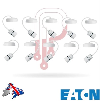 Eaton F1450 Lamp Activated Safety Pendant 6 Inch / 150mm